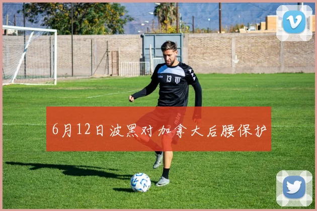 6月12日波黑对加拿大后腰保护