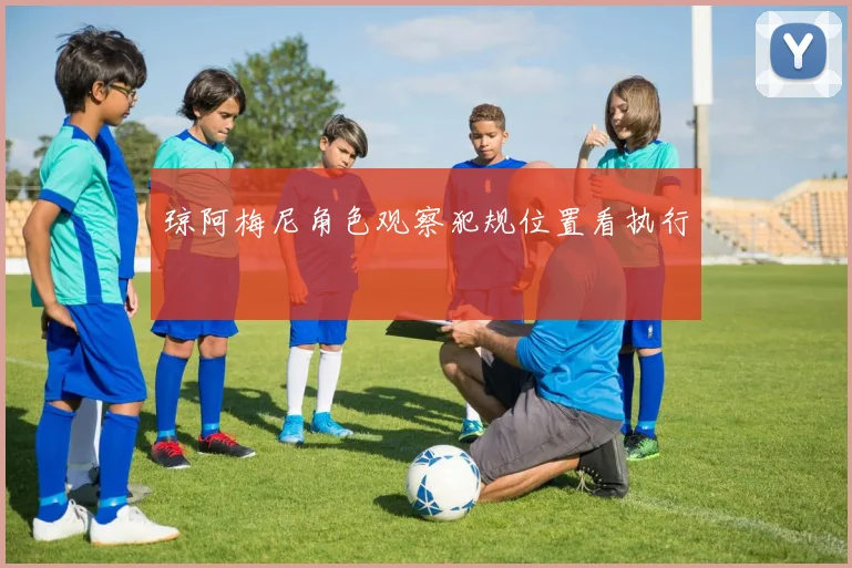 琼阿梅尼角色观察犯规位置看执行